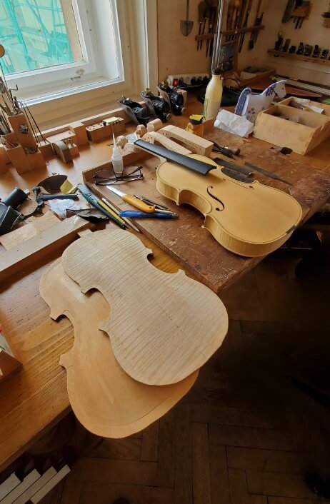 Violins at various stages of creation in a Prague workshop